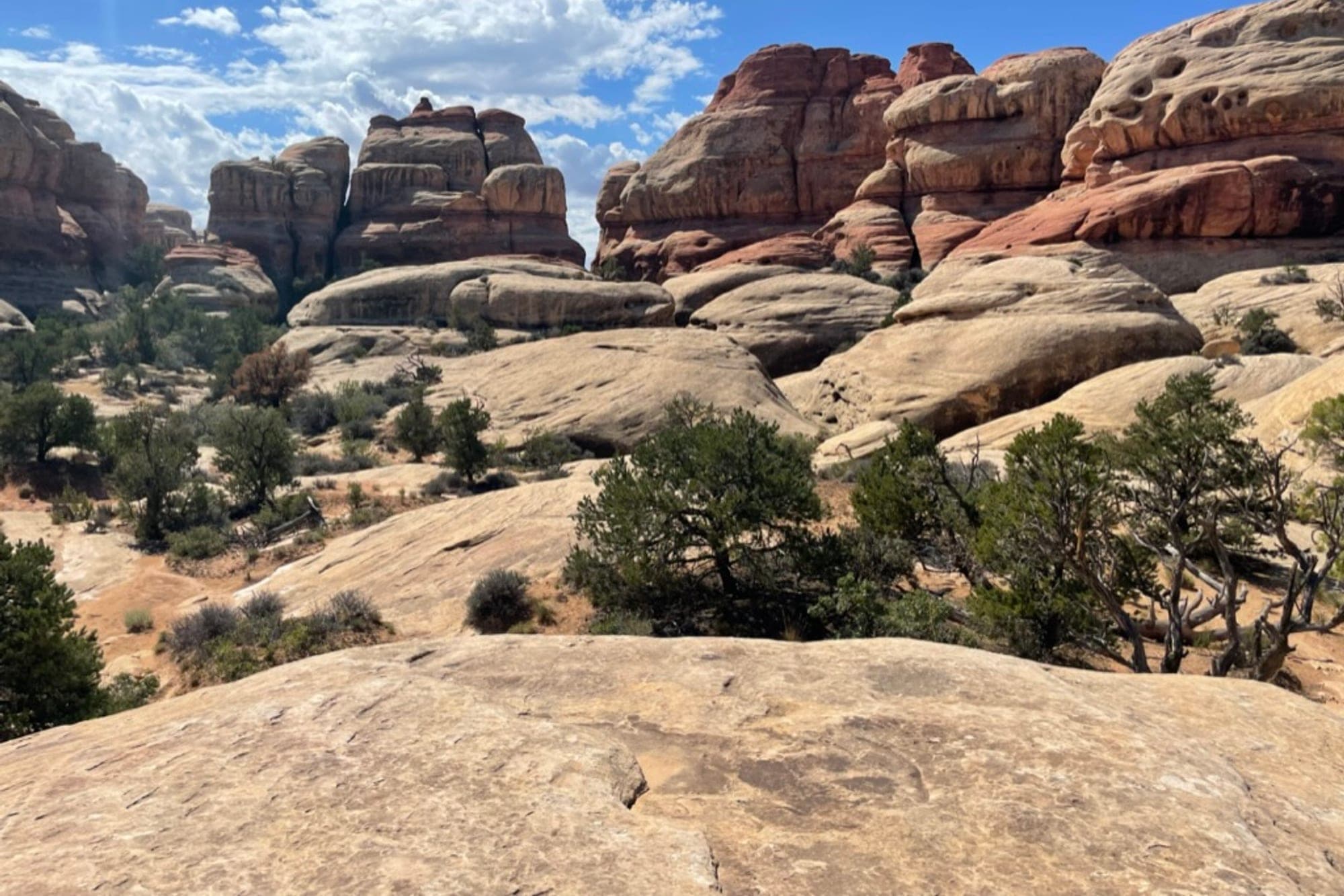 Layered sandstone rock formations rising above a high-desert canyon landscape