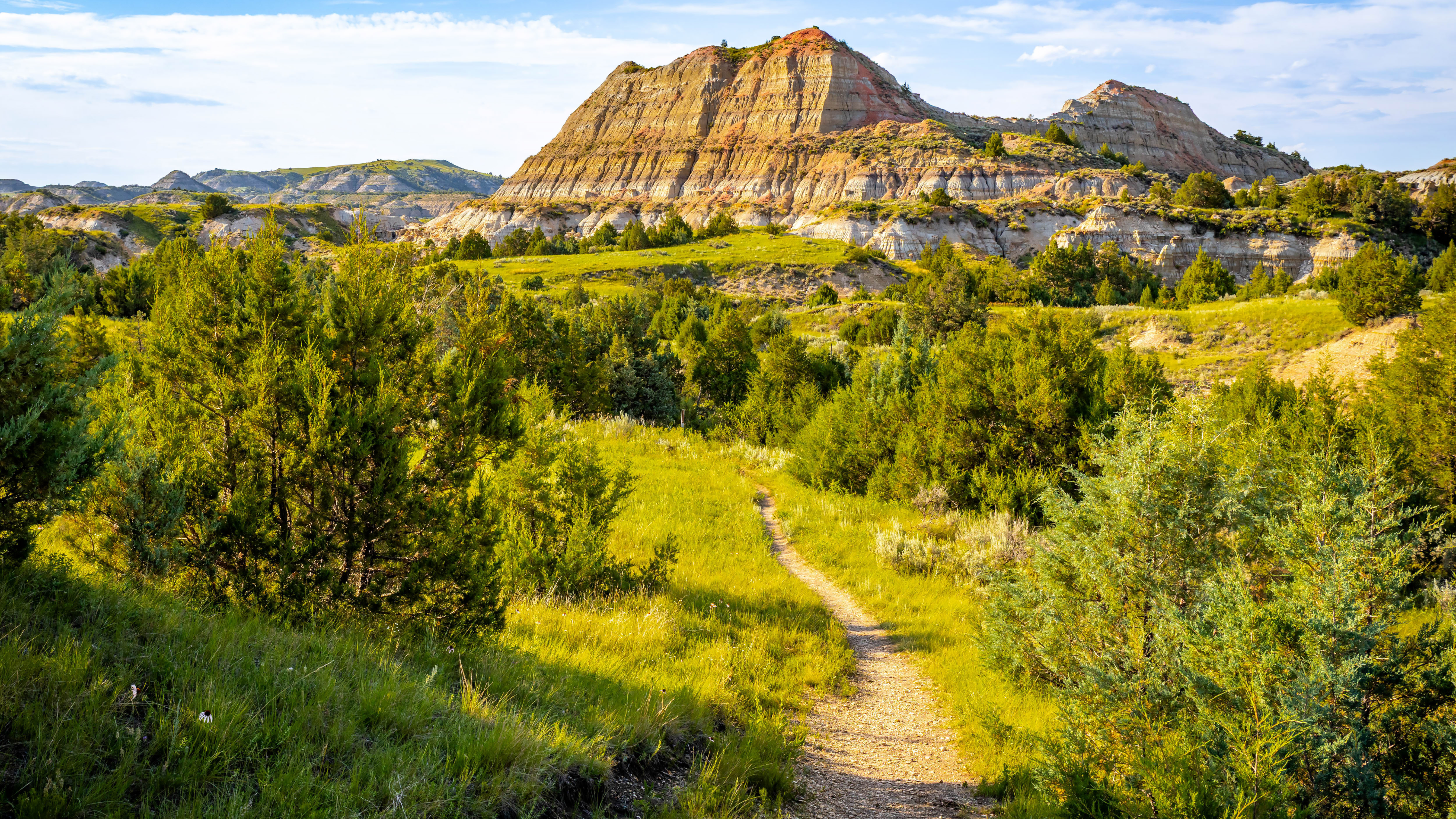 A hiker on a mountain trail in a national park
