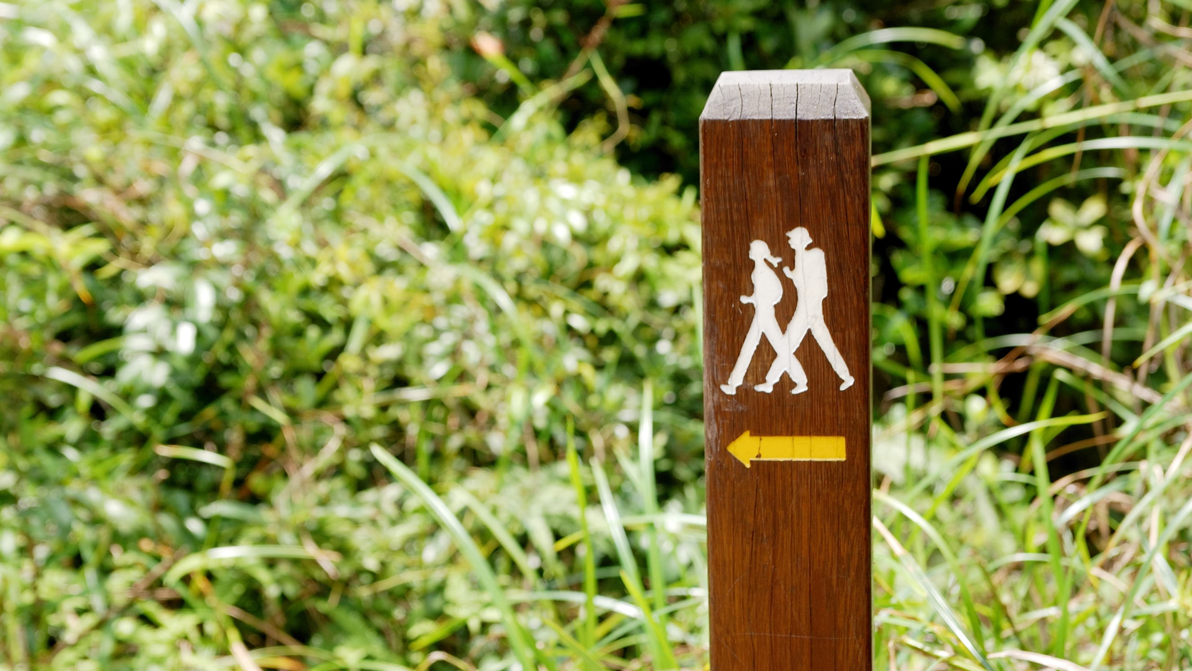 A hiker checking a trail map app at a trailhead sign in the backcountry